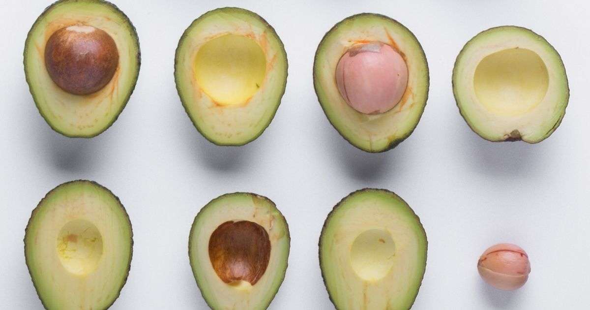 avocado