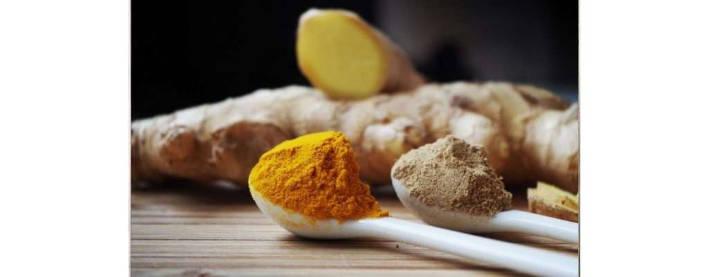 curcuma e zenzero contro l'invecchiamento